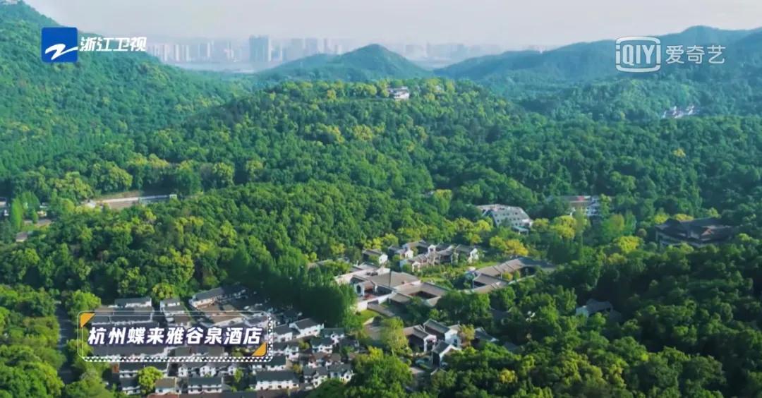 西溪湿地国家公园最近有什么节目,杭州西溪湿地附近大火