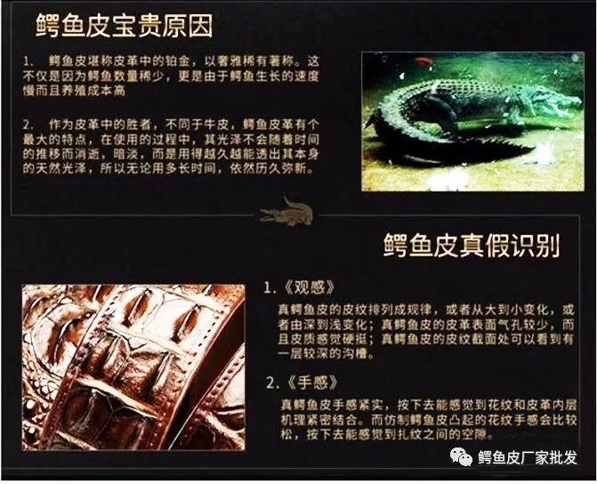 什么样的鳄鱼皮带最好,登喜路男士鳄鱼皮带