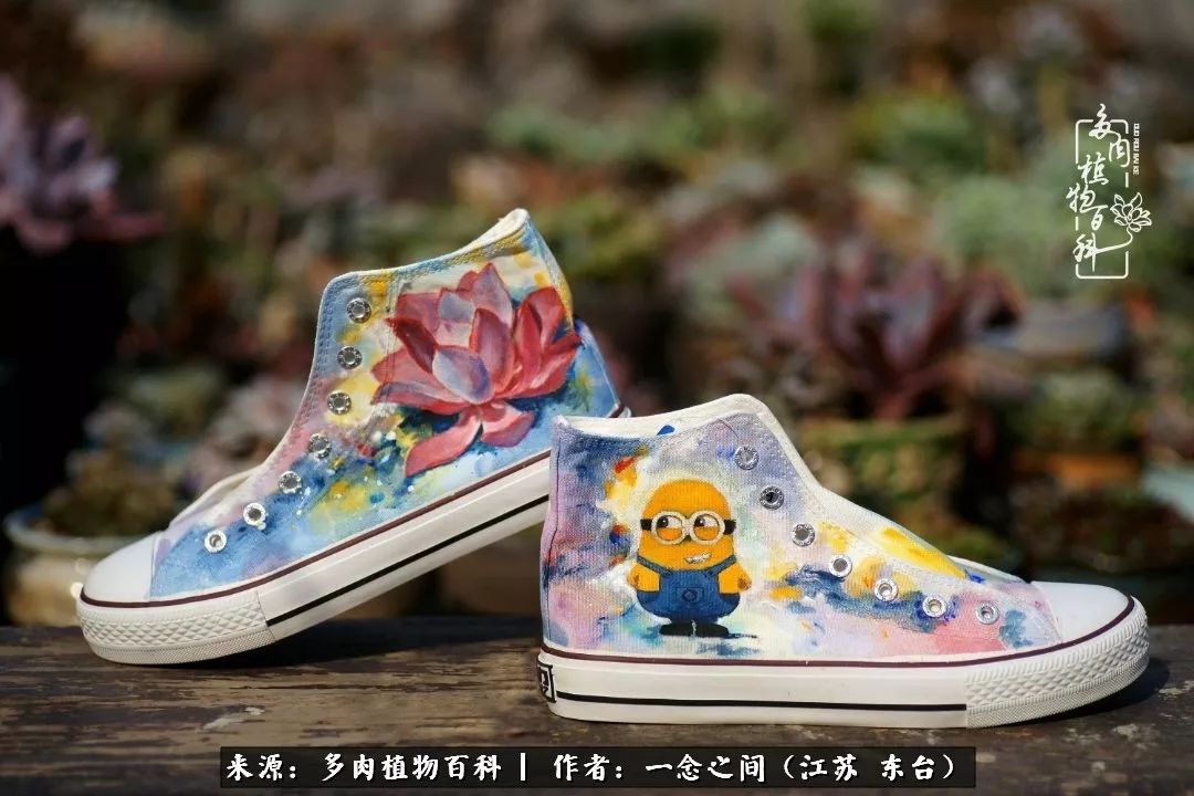 对多肉植物的爱心寄语,赏兰花感言