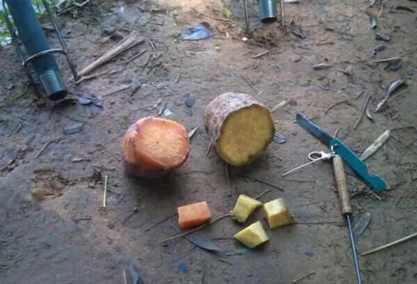 副竿钓鱼用什么饵最好,野钓用饵口诀记住必爆护