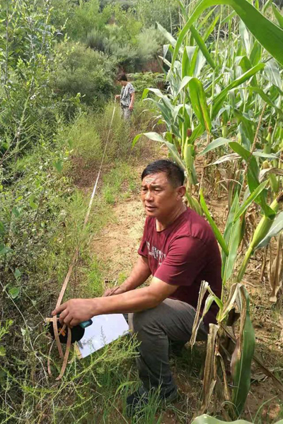 村主任意外离世,一村干部不幸离世