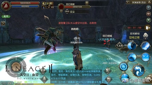 天堂2血盟荣耀版,天堂2血盟有什么好玩的游戏