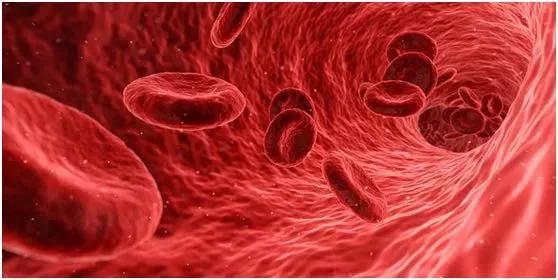 白米饭是垃圾食品之王原文,白米饭是最差的主食