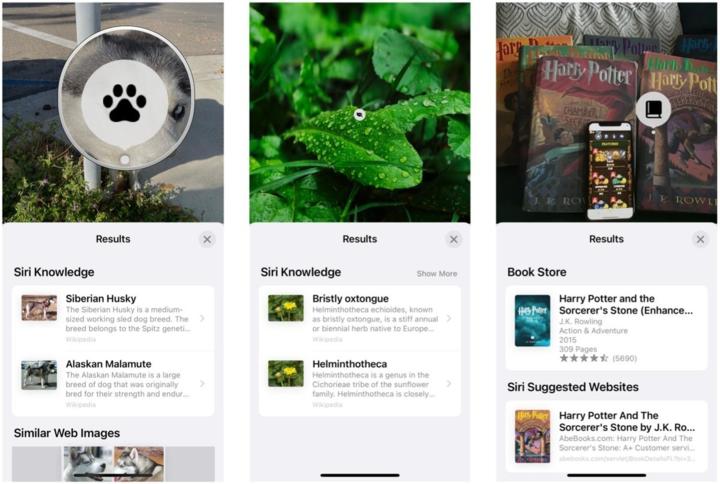苹果ios15.2有实况文字吗,苹果升级ios15.4实况文本怎么设置