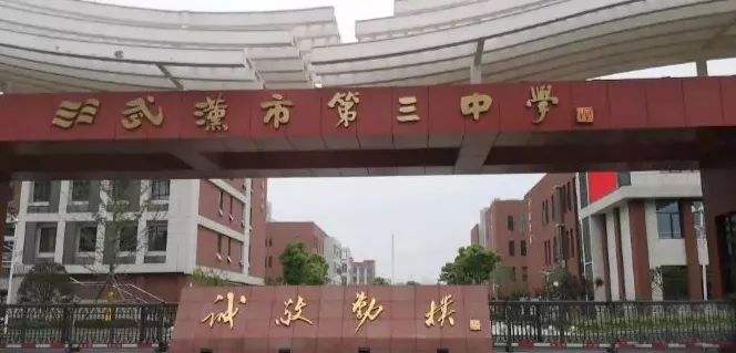 武汉二中多少个清华北大,武汉三中考入清华北大多少人