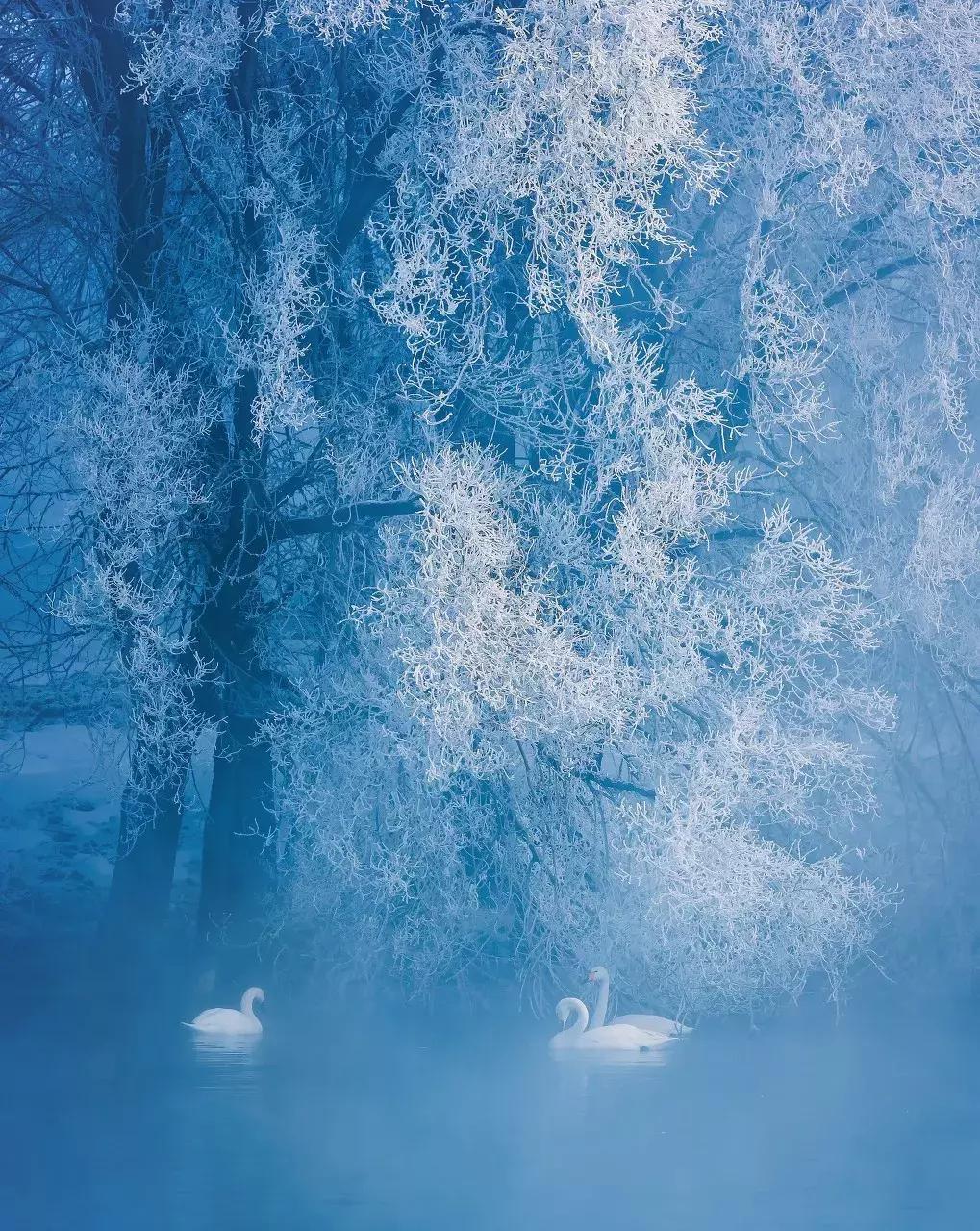 新疆的北疆和南疆哪个更美,北疆新疆之美