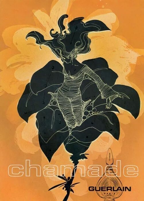 大牌香水推荐miumiu,大牌平价香水爱马仕