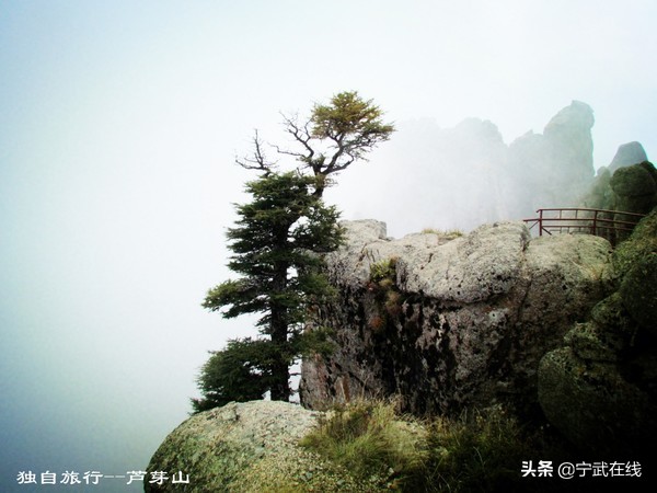 宁武芦芽山悬崖栈道,太原出发芦芽山马仑草原自驾路线