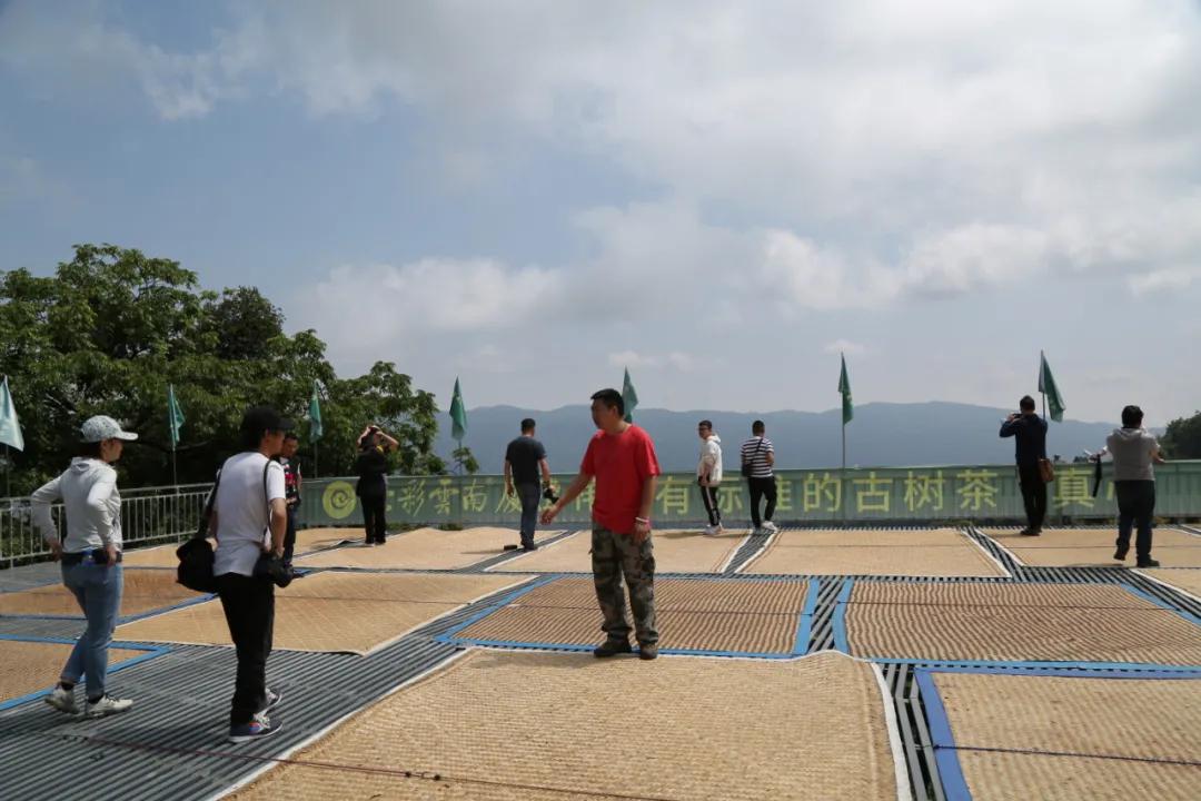 庆沣祥七彩云南普洱,庆沣祥七彩云南名门普洱