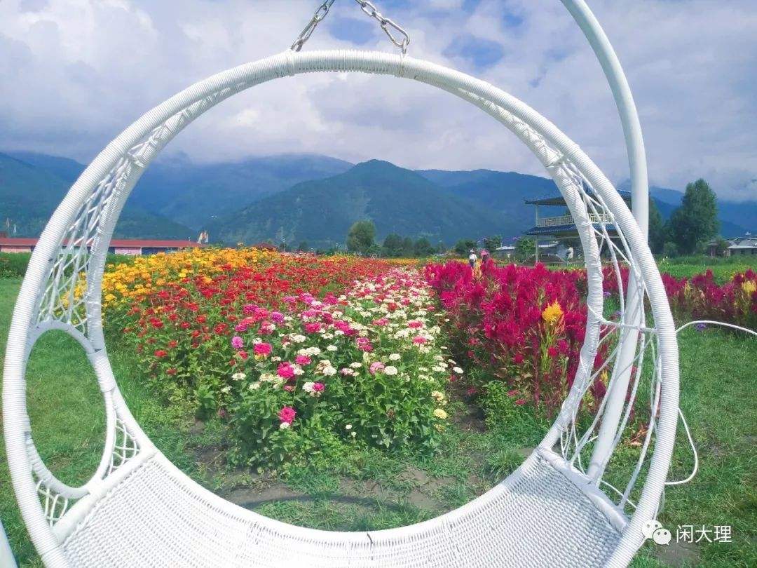 来云南旅游导游带去自己家住,云南旅游顾问工作怎么样啊