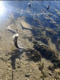 钓鱼大连海钓,大连钓鱼海钓季节