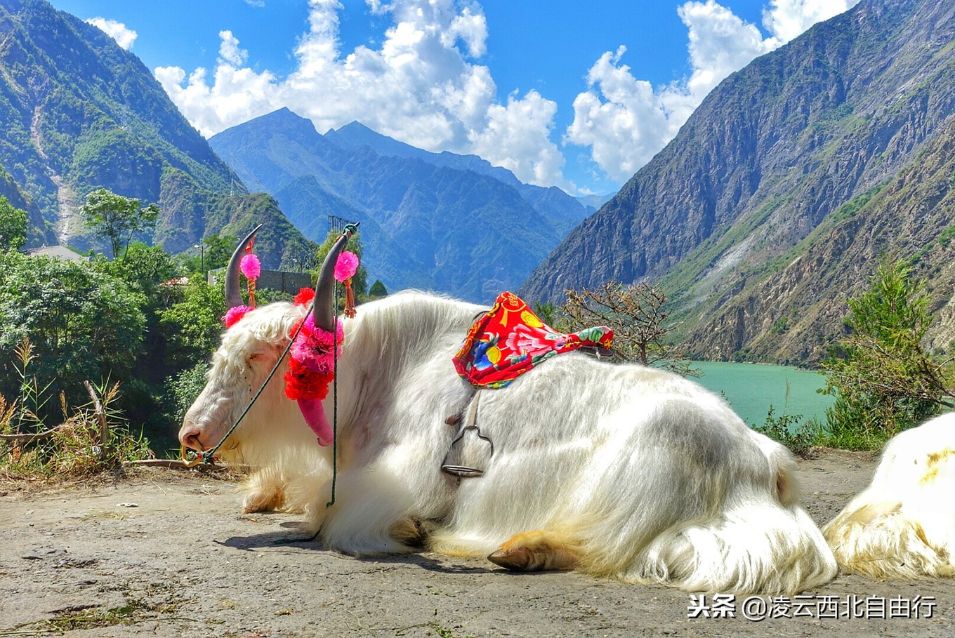 黄龙为什么被誉为中国好声音,黄龙十大风景区