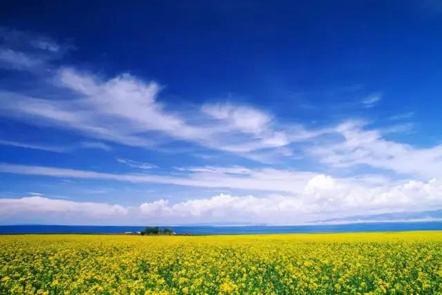 青海是著名的旅游圣地,青海这么美你会去看吗