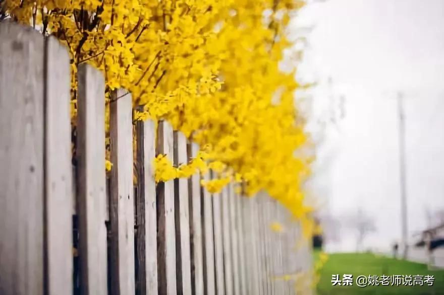 距离高考已经过去100天,距离高考仅剩29天图片