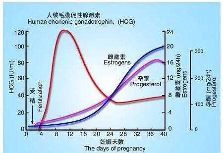 怀孕葡萄胎怎么知道是恶性的,警惕孕期杀手之葡萄胎你得这样做