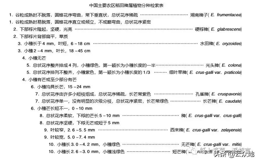 如何防除稗草,抗性稗草与普通稗草区别