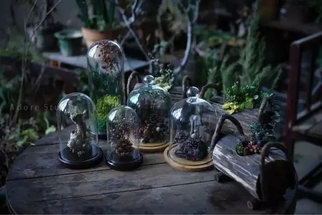 深山老林自建豪华木屋隐居生活,90后小情侣隐居深山建别墅仅花6万