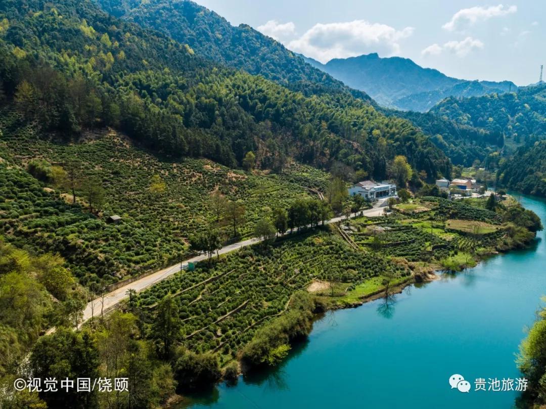 一杯清冽的酒,一杯清茗静心