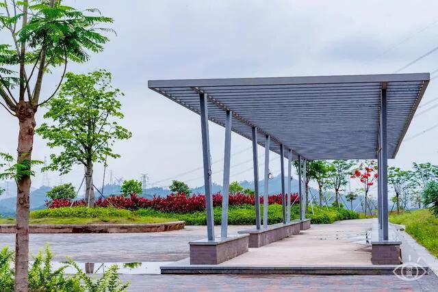 深圳免费公园哪里最好啊,深圳十大免费公园景点大全