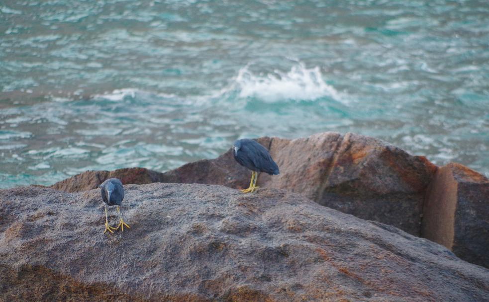 距离珠海最近的岛屿,珠海马尔代夫海岛