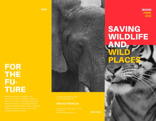 三折页设计案例展示极简风格,三折页设计软件