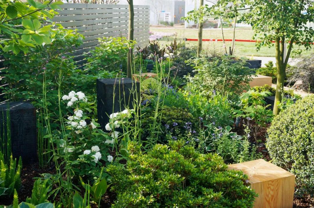 花展的意义,花展布展情况介绍