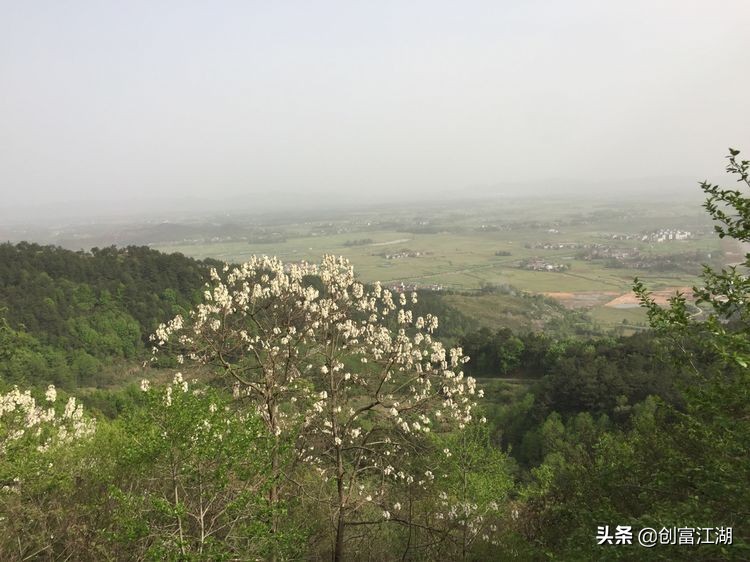 黄梅佛教在中国地位,黄梅禅宗之源