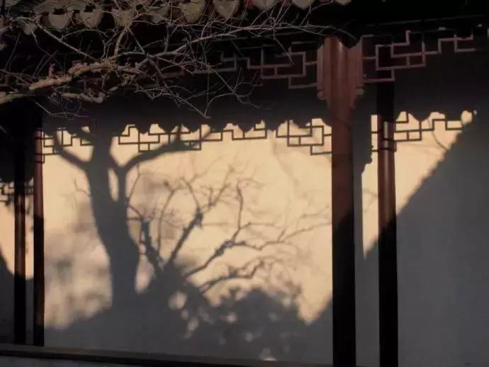 我们为什么要读古诗,为什么我们现在还要读论语