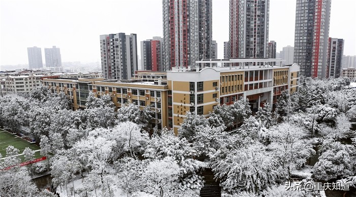 重庆巴川中学老师去留,重庆巴川中学最新招聘教师