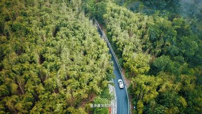 十一黄山旅游攻略4天三晚跟团游,上海到安徽黄山自驾游