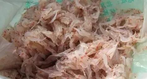 渔民海鲜大全,渔民整理的海鲜河鲜大全