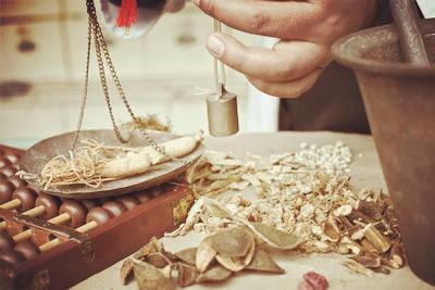 中医学专业十年磨一剑,中医基础学专业