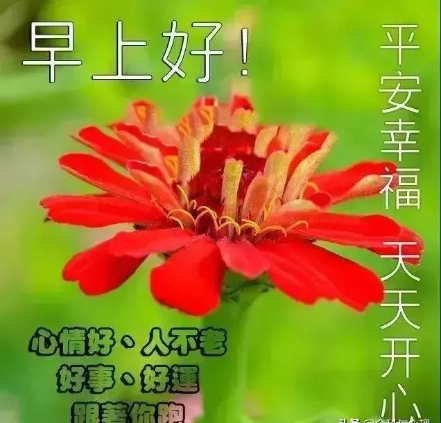 面对烦恼一笑而过是一种平和释然,面对忧愁烦恼要学会一笑置之