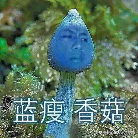 BOSS观点:你们凭什么这么牛13?