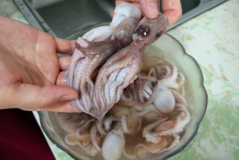 水煮八爪鱼要煮几分钟,清水煮八爪鱼的正确方法