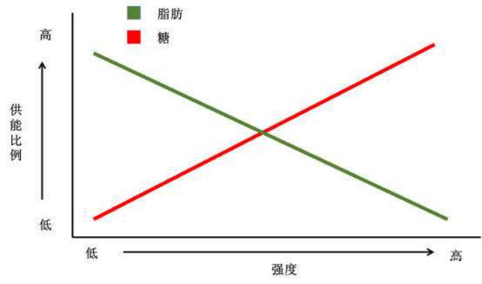 新生入学必看,新生必看错题