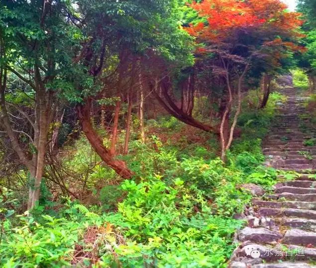 温州四海尖上观日出，初阳如血，美轮美奂，绝无仅有