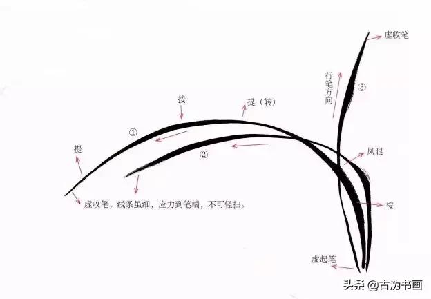 徐湛国画兰花技法教学,国画兰花入门技法