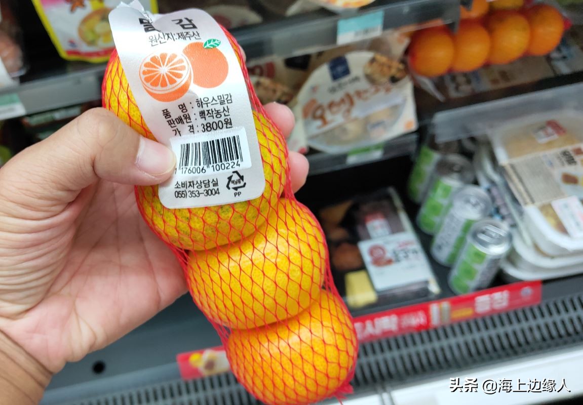 旅行日记:船员韩国下地购物,终于踏上陆地,心情无比激动