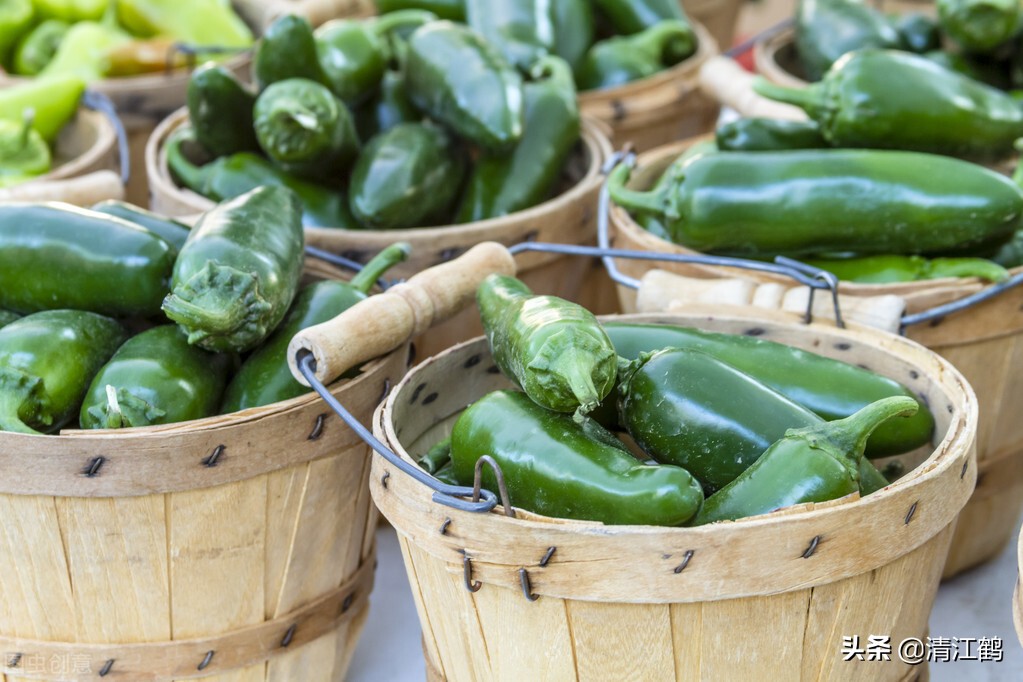 辣椒喝多了怎样才能不辣,苏打水对辣椒的用法