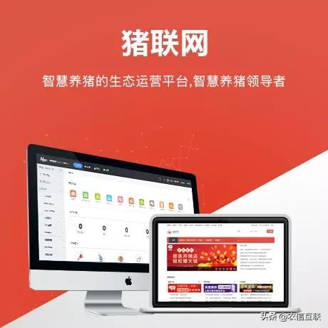 518猪友节，农信数据特惠来袭