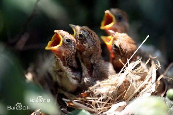 学姐来了请多关照,学妹来了学姐应该怎么办