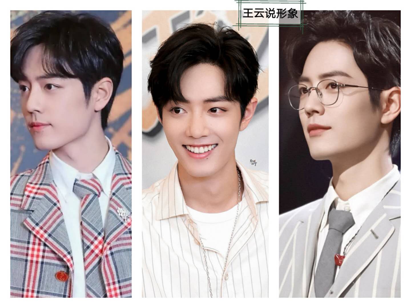 服装印花图案的流行趋势,面料单色印花图案大全