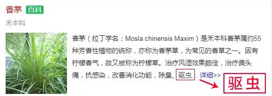 比蚊香更好的驱蚊方式,比蚊香还管用的方法