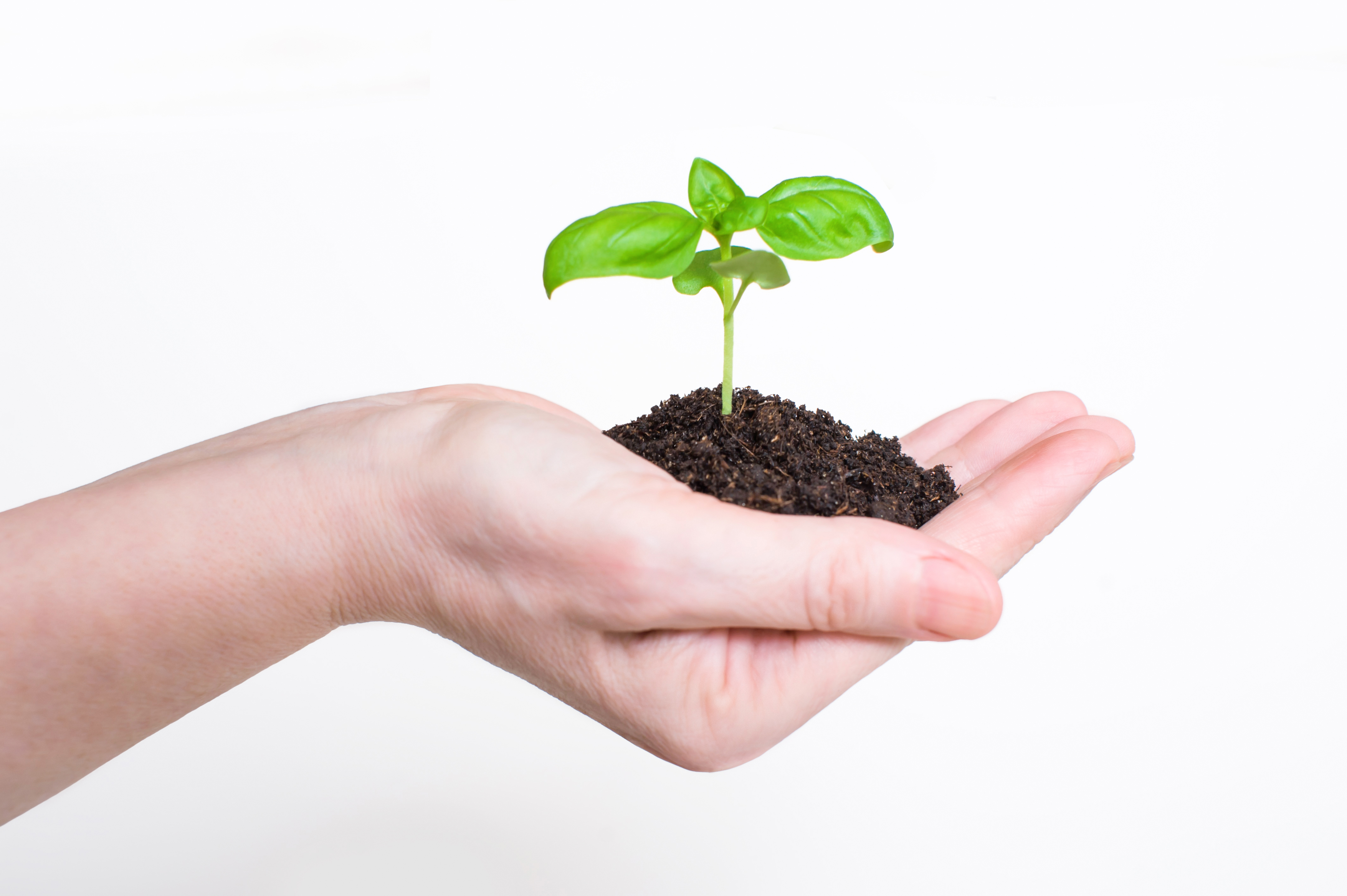 心理学对成瘾的看法,整容上瘾心理疾病