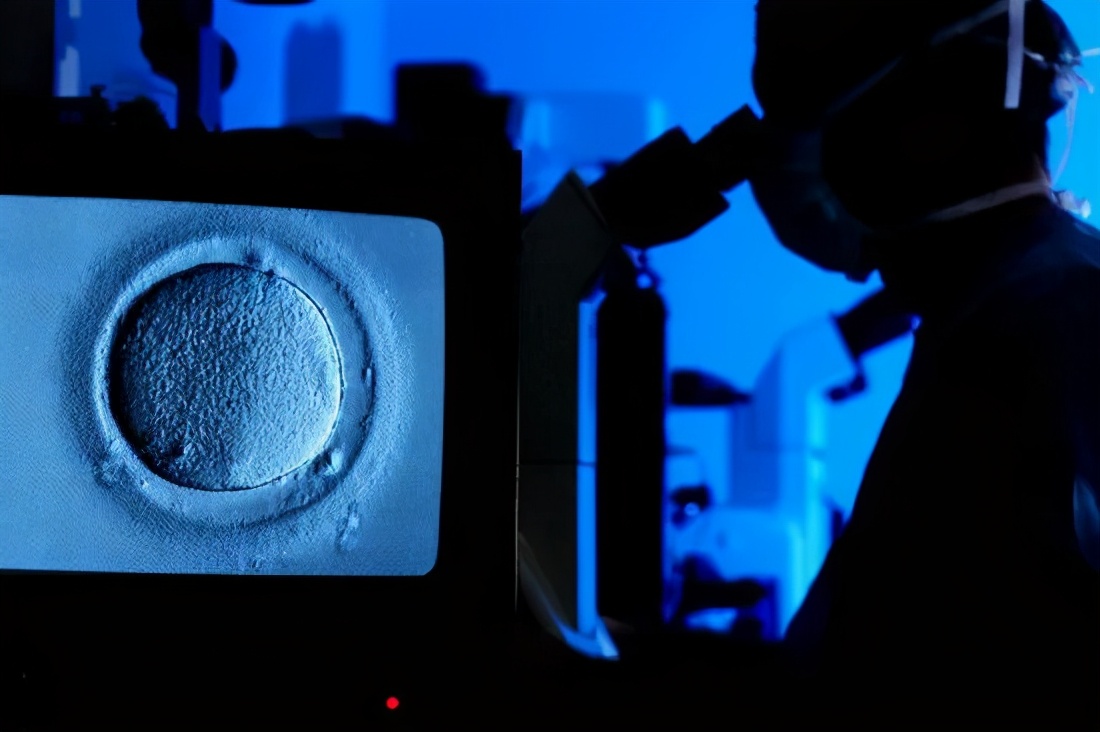 怎样才能提高卵子的质量和数量,如何短期内快速提高卵子质量