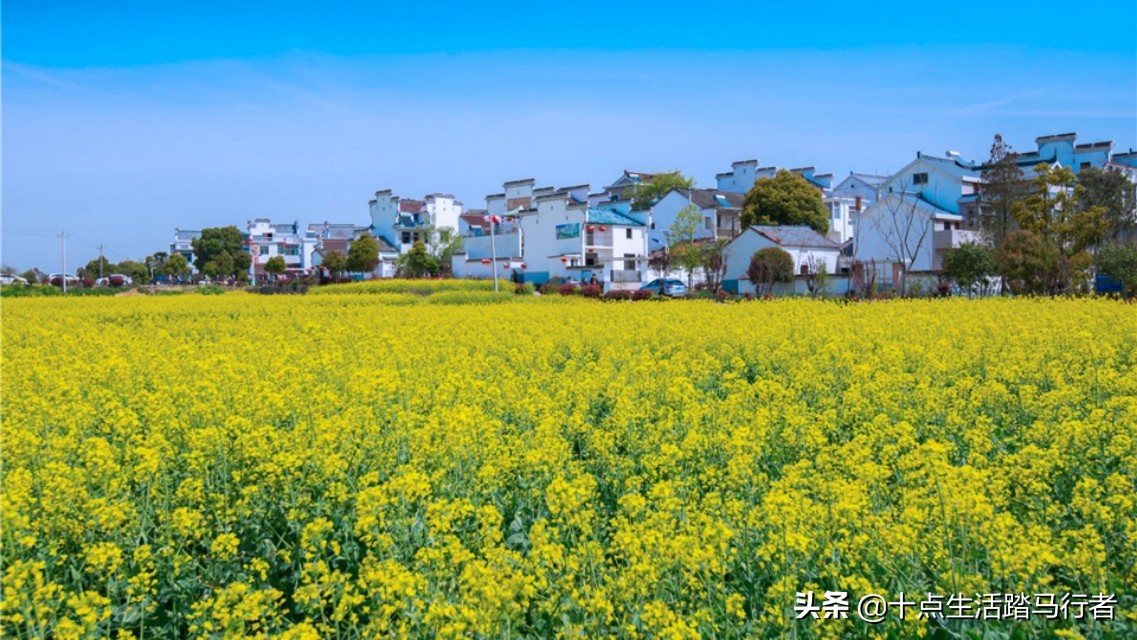 国际慢城高淳要门票吗,国际慢城高淳公司