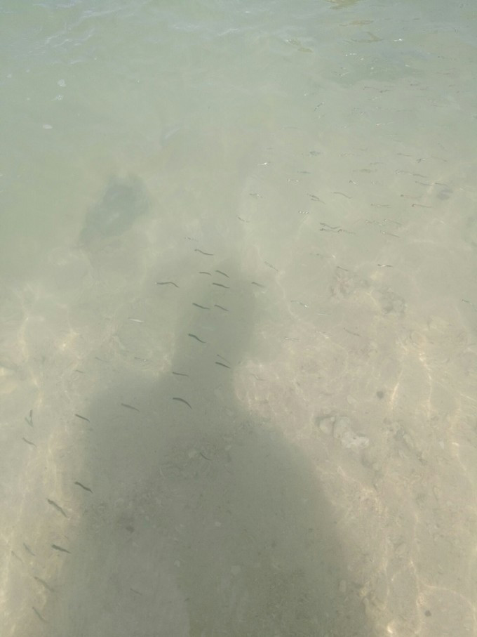 带最爱的人去吃美食,和最爱的人去哪里好玩