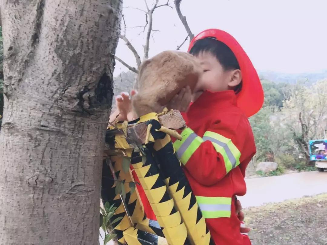 浪漫树屋、奇妙酒店、恒温水乐园...去江浙沪Top酒店跨个30℃的年