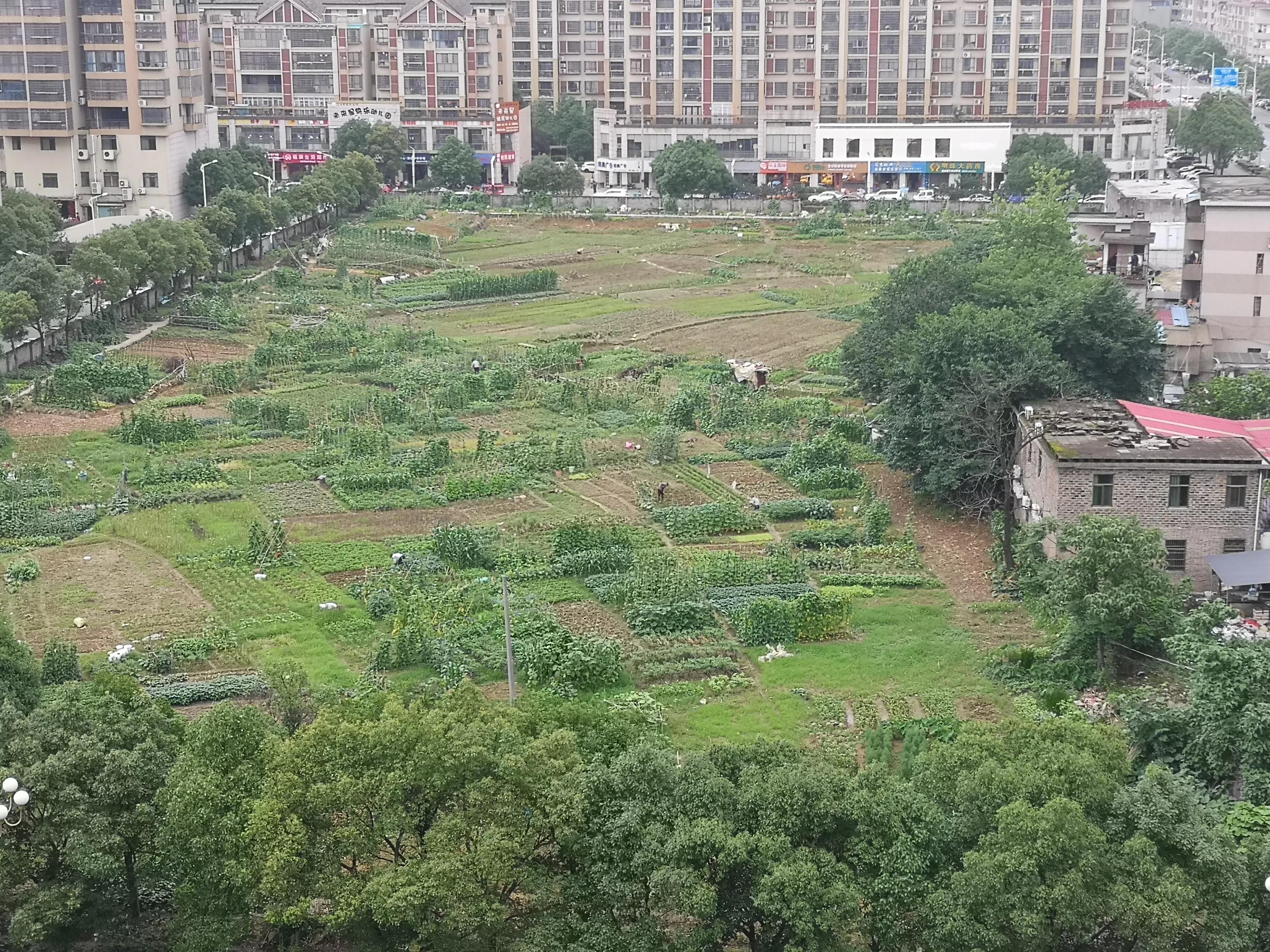 2024年县城经济分析,县域经济发展现状及前景